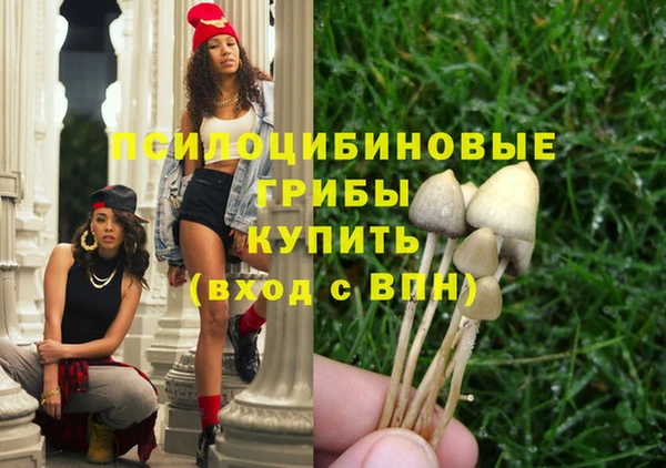 mdpv Вязники