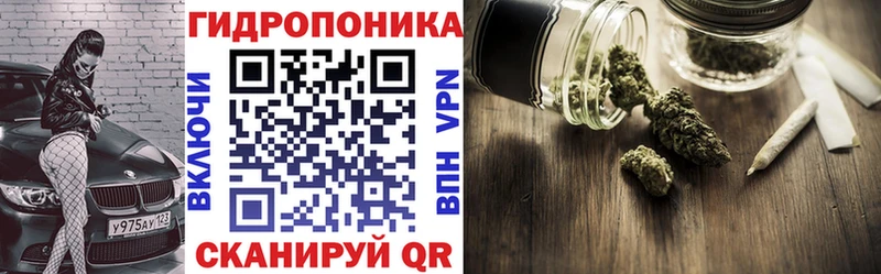 МАРИХУАНА план  Купить где  Новоржев 